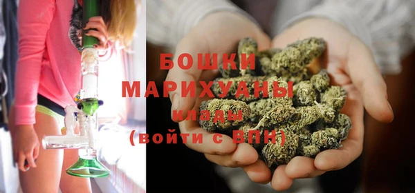 стаф Богданович