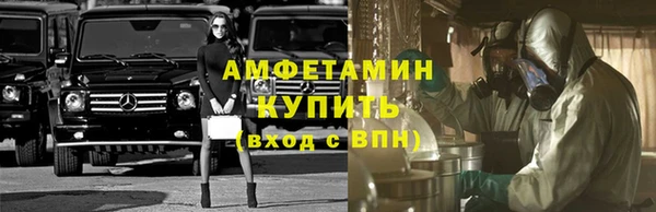 стаф Богданович