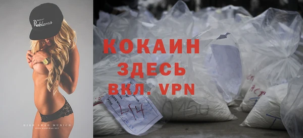 стаф Богданович