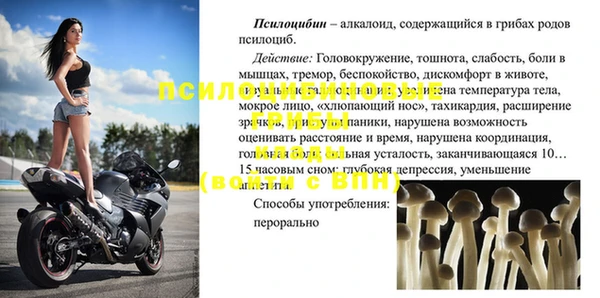 молекула духа Пересвет