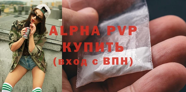 молекула духа Пересвет