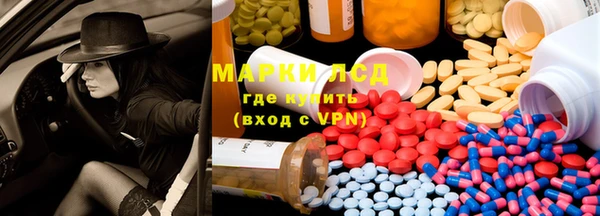 стаф Богданович