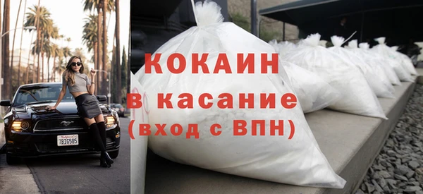 стаф Богданович